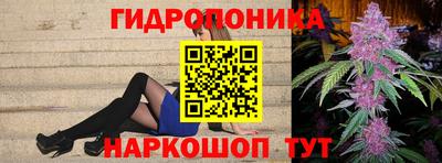 стаф Будённовск