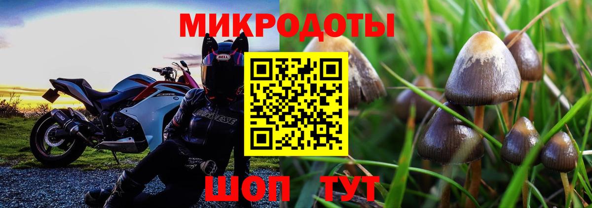 Галлюциногенные грибы MAGIC MUSHROOMS  наркотики  Вход с VPN  Арсеньев  Галлюциногенные грибы мухоморы 